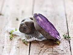 Уральский фиолетовый картофель