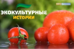 «Экокультурные истории» – вкусно об интересном