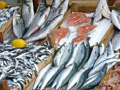 Евросоюз запрещает импорт рыбы из Азии и Африки из-за браконьерства