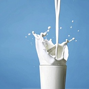 В молоке много ГМО