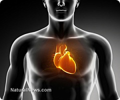 Низкий уровень магния предвещает заболевания сердца