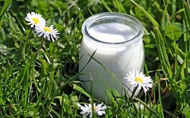 Стерилизованное молоко содержит меньше витаминов